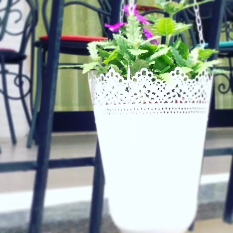 Hotel Lux Cesenatico